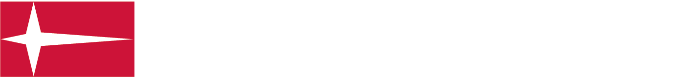 DENKIRS SMART